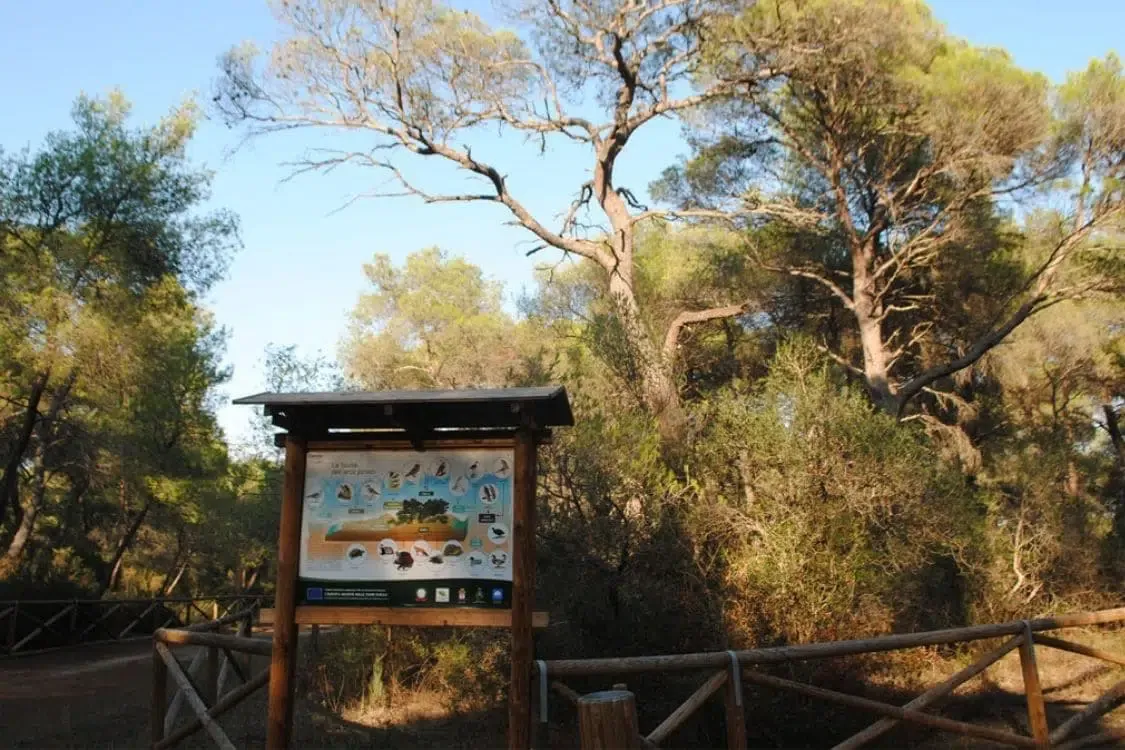 Pineta Regina, Marina di Ginosa (Puglia)