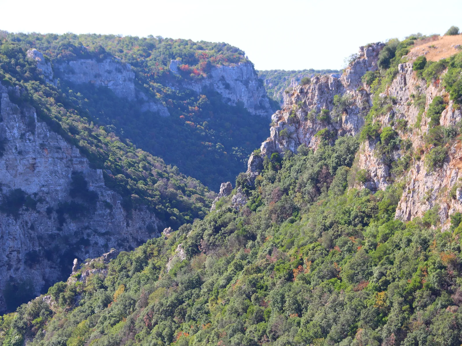 La gravina, un canyon nel verde, Laterza (Puglia)