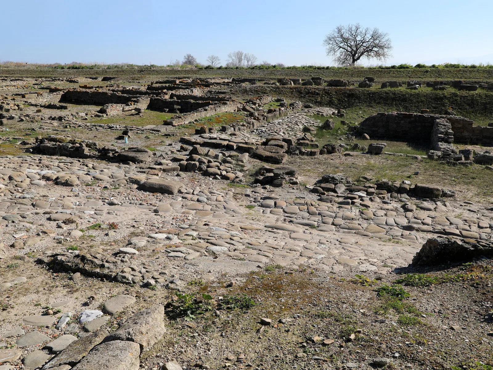 Il parco archeologico della Magna Grecia, Sibari (Calabria)