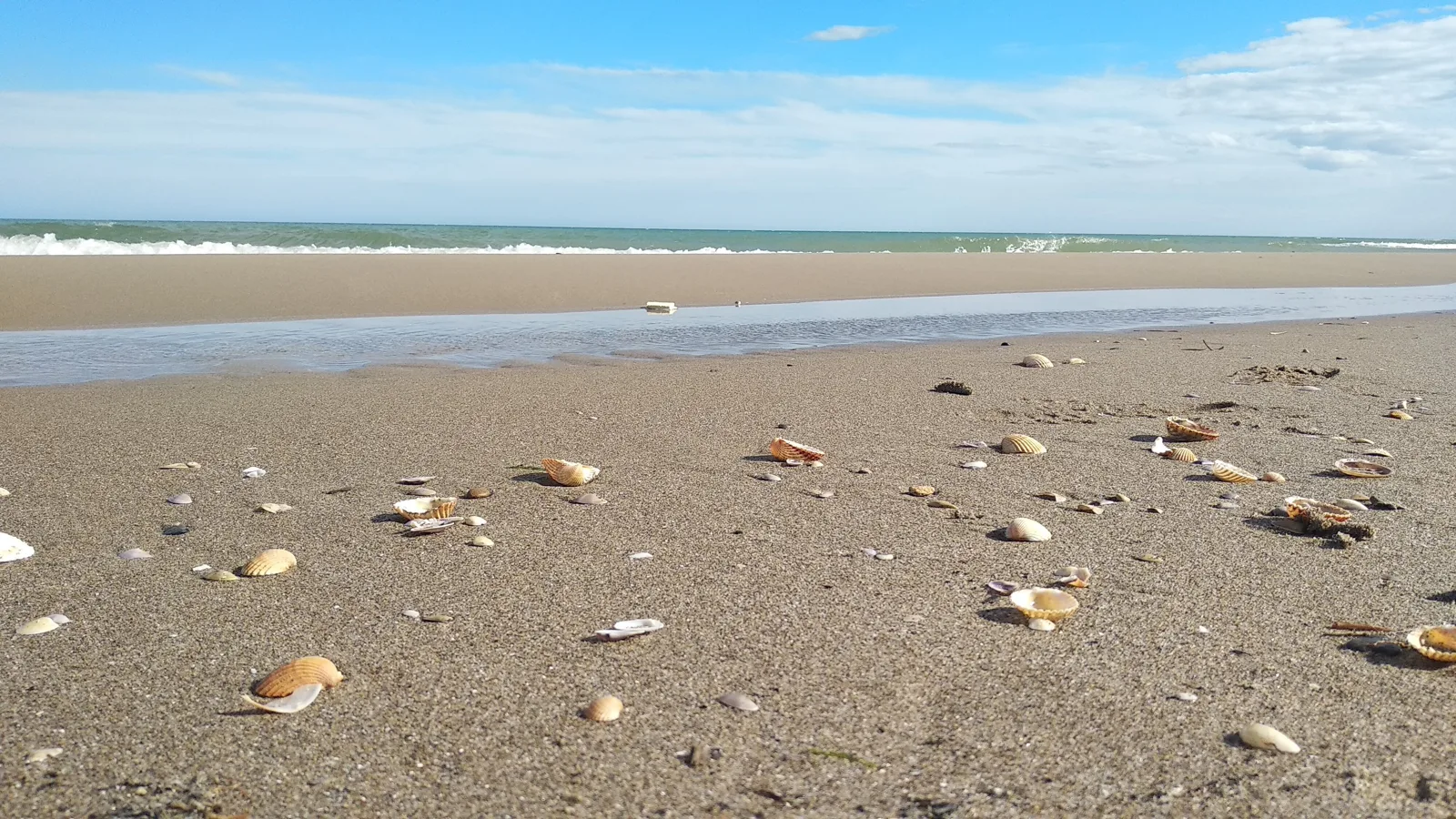 La spiaggia di sabbia fine di Marina di Ginosa, in fondo al sentiero della pineta